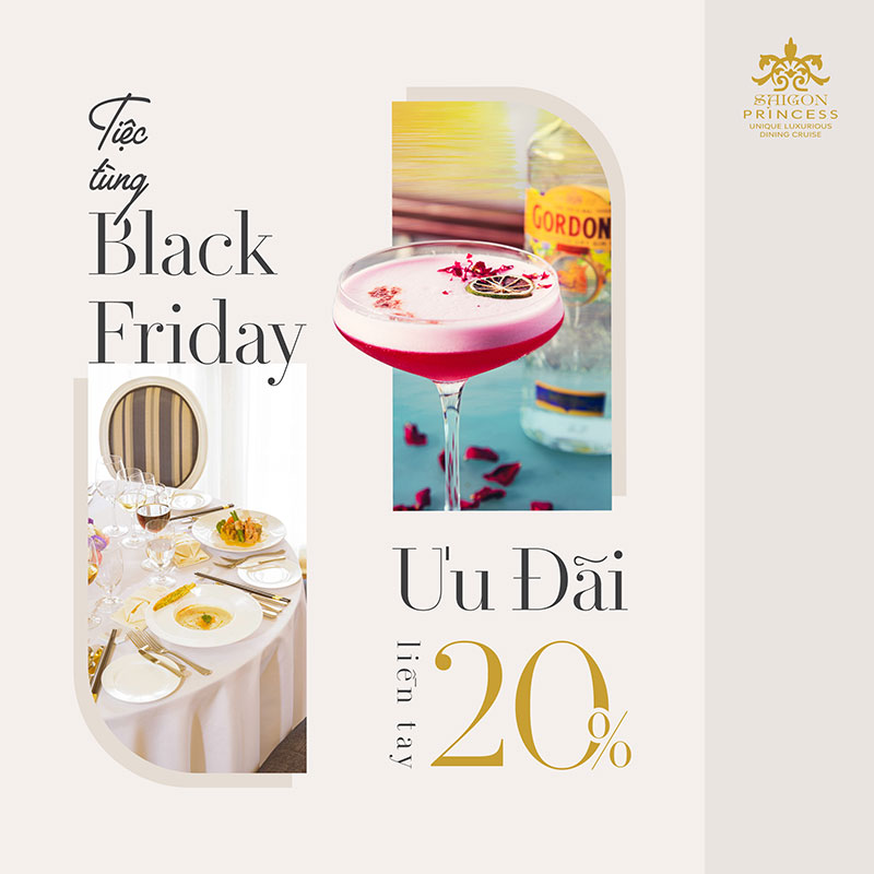 Black Friday party - special discount 20%